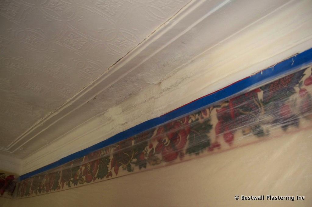 Damaged Plaster Molding in Passaic County